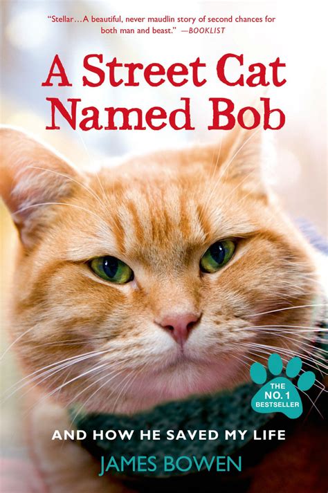 Cat named bob. Things To Know About Cat named bob. 